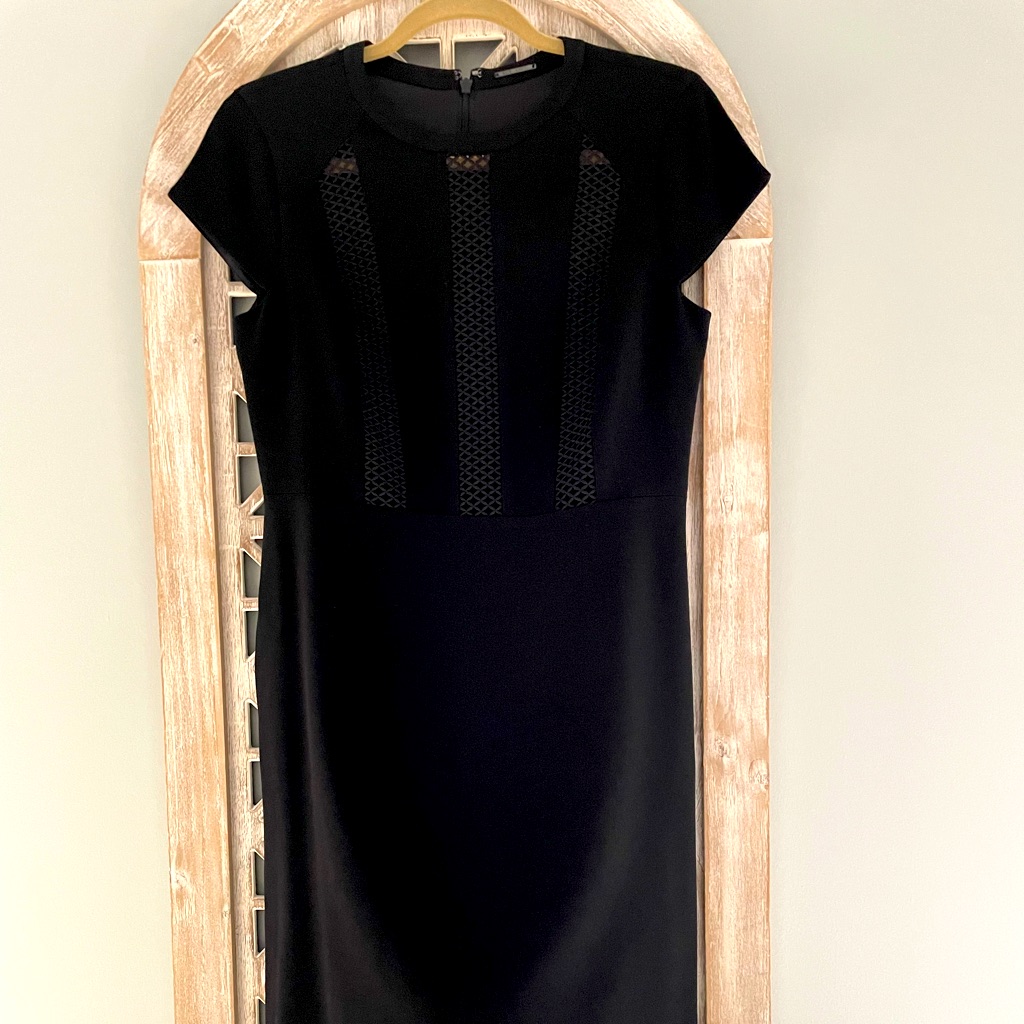 Elie Tahari Black Mesh Inset, A Line Dress, Size 6.